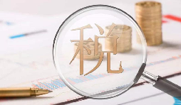 電子稅務(wù)局1月新增重點(diǎn)功能！速看！
