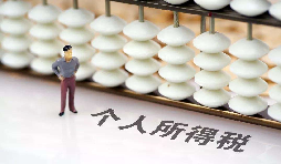 如何在網(wǎng)上打印個人所得稅納稅記錄？