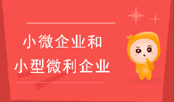 小微企業(yè)和小型微利企業(yè)有什么區(qū)別？